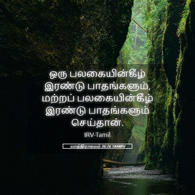 Picture 05 - யாத்திராகமம் 36:26 TAMIRV - ஒரு பலகையின்கீழ் - Bible Verse Picture