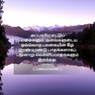 Picture 05 - யாத்திராகமம் 36:30 TAMIRV - அப்படியே எட்டுப் - Bible Verse Picture