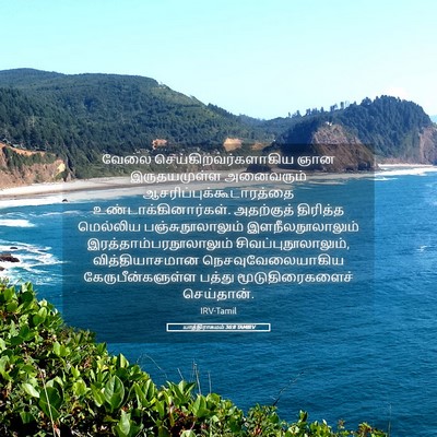 Picture 05 - யாத்திராகமம் 36:8 TAMIRV - வேலை - Bible Verse Picture