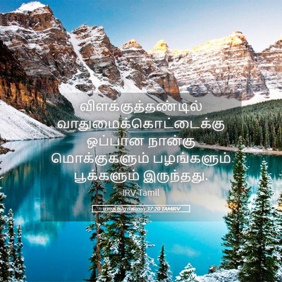 Picture 05 - யாத்திராகமம் 37:20 TAMIRV - விளக்குத்தண்டில் - Bible Verse Picture