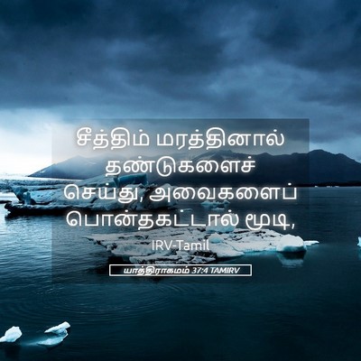 Picture 05 - யாத்திராகமம் 37:4 TAMIRV - சீத்திம் - Bible Verse Picture
