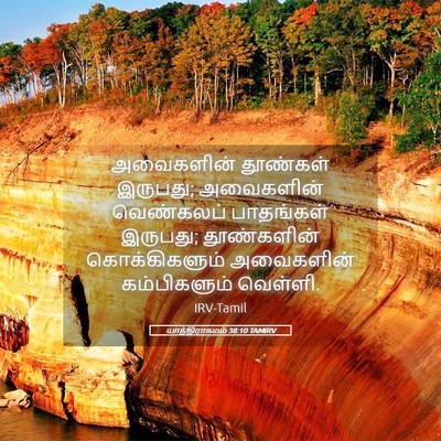 Picture 05 - யாத்திராகமம் 38:10 TAMIRV - அவைகளின் தூண்கள் - Bible Verse Picture