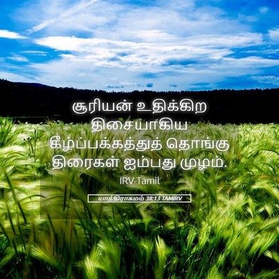 Picture 05 - யாத்திராகமம் 38:13 TAMIRV - சூரியன் உதிக்கிற - Bible Verse Picture