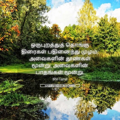 Picture 05 - யாத்திராகமம் 38:14 TAMIRV - ஒருபுறத்துத் - Bible Verse Picture