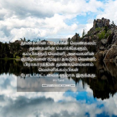 Picture 05 - யாத்திராகமம் 38:17 TAMIRV - தூண்களின் - Bible Verse Picture