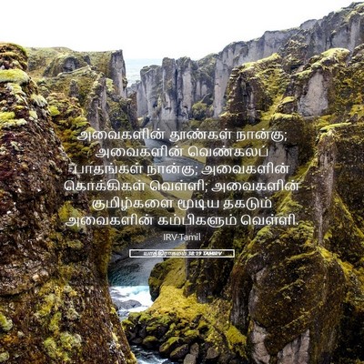 Picture 05 - யாத்திராகமம் 38:19 TAMIRV - அவைகளின் தூண்கள் - Bible Verse Picture