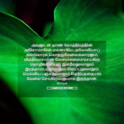 Picture 05 - யாத்திராகமம் 38:23 TAMIRV - அவனுடன் தாண் - Bible Verse Picture