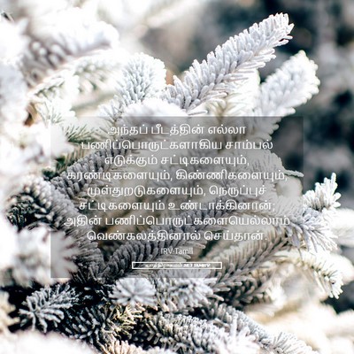 Picture 05 - யாத்திராகமம் 38:3 TAMIRV - அந்தப் பீடத்தின் - Bible Verse Picture