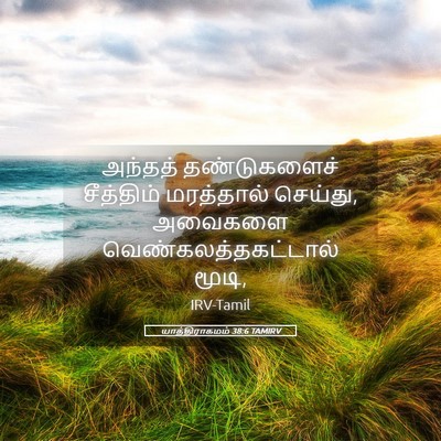 Picture 05 - யாத்திராகமம் 38:6 TAMIRV - அந்தத் தண்டுகளைச் - Bible Verse Picture