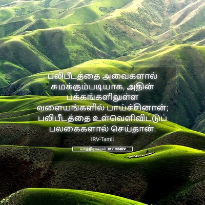 Picture 05 - யாத்திராகமம் 38:7 TAMIRV - பலிபீடத்தை - Bible Verse Picture