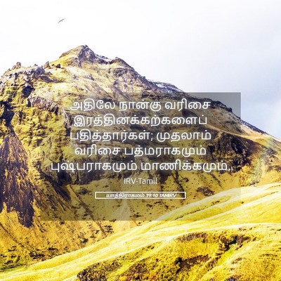 Picture 05 - யாத்திராகமம் 39:10 TAMIRV - அதிலே நான்கு - Bible Verse Picture