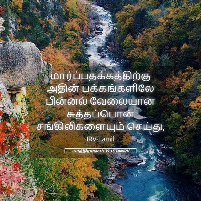 Picture 05 - யாத்திராகமம் 39:15 TAMIRV -  - Bible Verse Picture
