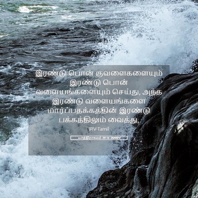 Picture 05 - யாத்திராகமம் 39:16 TAMIRV - இரண்டு பொன் - Bible Verse Picture