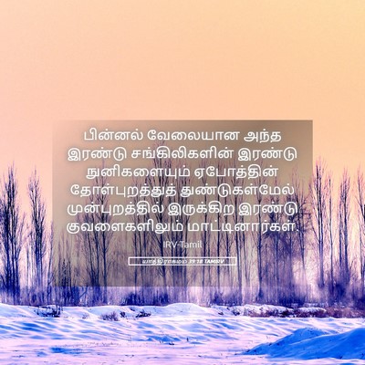 Picture 05 - யாத்திராகமம் 39:18 TAMIRV - பின்னல் வேலையான - Bible Verse Picture