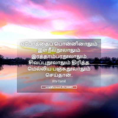 Picture 05 - யாத்திராகமம் 39:2 TAMIRV - ஏபோத்தைப் - Bible Verse Picture