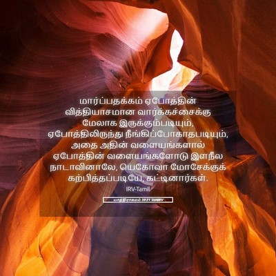 Picture 05 - யாத்திராகமம் 39:21 TAMIRV - மார்ப்பதக்கம் - Bible Verse Picture