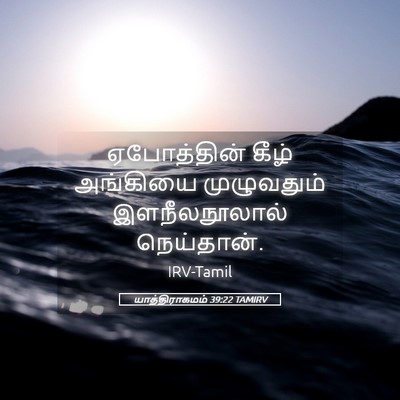 Picture 05 - யாத்திராகமம் 39:22 TAMIRV - ஏபோத்தின் கீழ் - Bible Verse Picture
