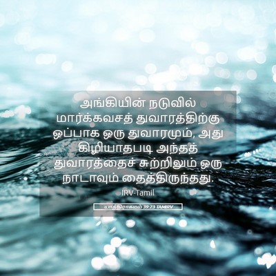 Picture 05 - யாத்திராகமம் 39:23 TAMIRV - அங்கியின் நடுவில் - Bible Verse Picture