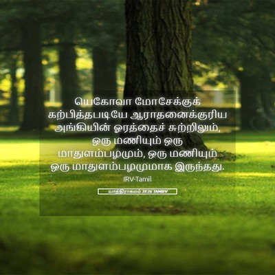 Picture 05 - யாத்திராகமம் 39:26 TAMIRV - யெகோவா மோசேக்குக் - Bible Verse Picture