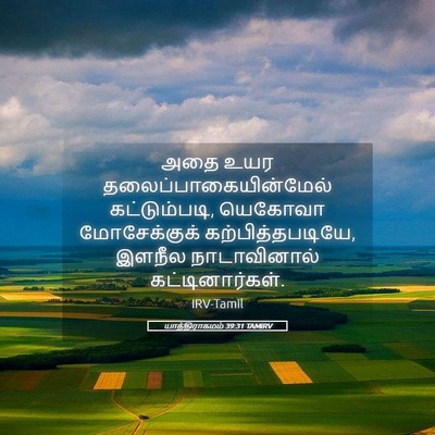 Picture 05 - யாத்திராகமம் 39:31 TAMIRV - அதை உயர - Bible Verse Picture