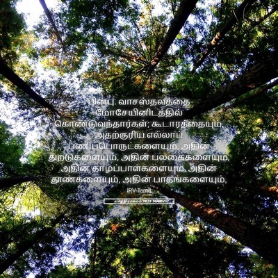 Picture 05 - யாத்திராகமம் 39:33 TAMIRV - பின்பு. - Bible Verse Picture