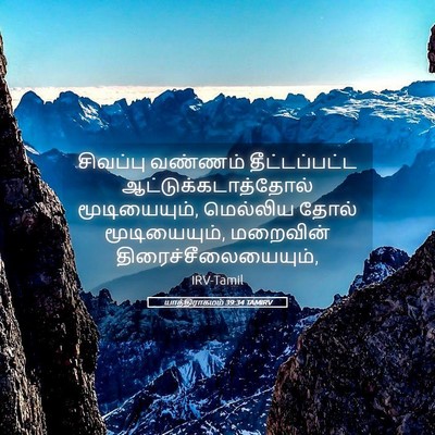 Picture 05 - யாத்திராகமம் 39:34 TAMIRV - சிவப்பு வண்ணம் - Bible Verse Picture