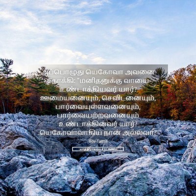 Picture 05 - யாத்திராகமம் 4:11 TAMIRV - அப்பொழுது யெகோவா - Bible Verse Picture