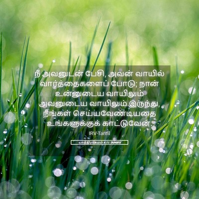 Picture 05 - யாத்திராகமம் 4:15 TAMIRV - நீ அவனுடன் பேசி, - Bible Verse Picture