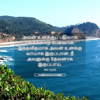 Picture 05 - யாத்திராகமம் 4:16 TAMIRV - அவன் உனக்குப் - Bible Verse Picture