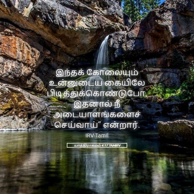 Picture 05 - யாத்திராகமம் 4:17 TAMIRV - இந்தக் கோலையும் - Bible Verse Picture