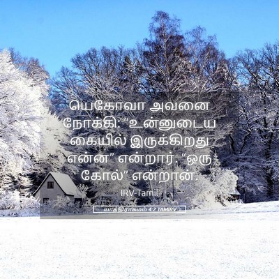 Picture 05 - யாத்திராகமம் 4:2 TAMIRV - யெகோவா அவனை - Bible Verse Picture