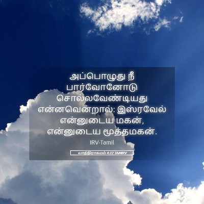 Picture 05 - யாத்திராகமம் 4:22 TAMIRV - அப்பொழுது நீ - Bible Verse Picture