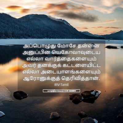 Picture 05 - யாத்திராகமம் 4:28 TAMIRV - அப்பொழுது மோசே - Bible Verse Picture