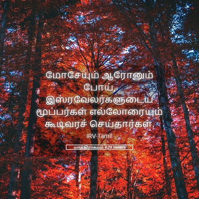 Picture 05 - யாத்திராகமம் 4:29 TAMIRV - மோசேயும் ஆரோனும் - Bible Verse Picture
