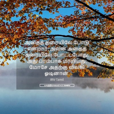 Picture 05 - யாத்திராகமம் 4:3 TAMIRV - “அதைத் தரையிலே - Bible Verse Picture
