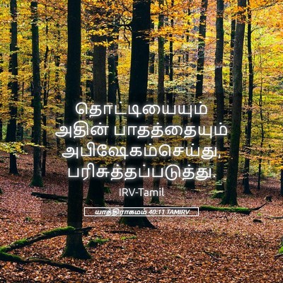 Picture 05 - யாத்திராகமம் 40:11 TAMIRV - தொட்டியையும் - Bible Verse Picture