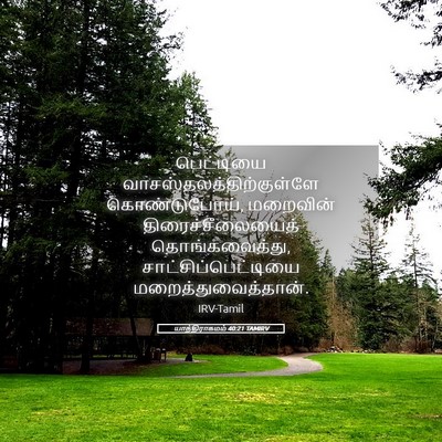 Picture 05 - யாத்திராகமம் 40:21 TAMIRV - பெட்டியை - Bible Verse Picture
