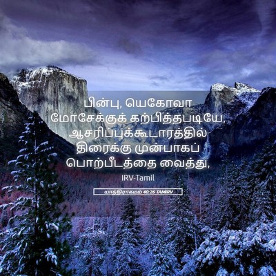 Picture 05 - யாத்திராகமம் 40:26 TAMIRV - பின்பு, யெகோவா - Bible Verse Picture