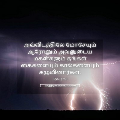 Picture 05 - யாத்திராகமம் 40:31 TAMIRV - அவ்விடத்திலே - Bible Verse Picture
