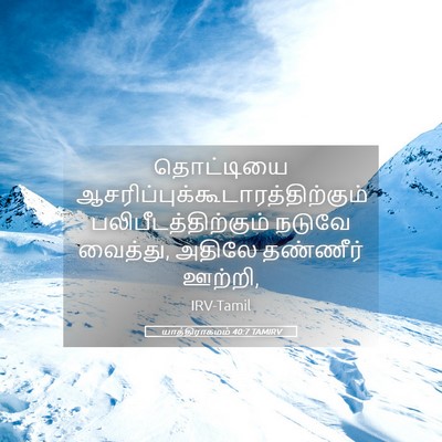 Picture 05 - யாத்திராகமம் 40:7 TAMIRV - தொட்டியை - Bible Verse Picture
