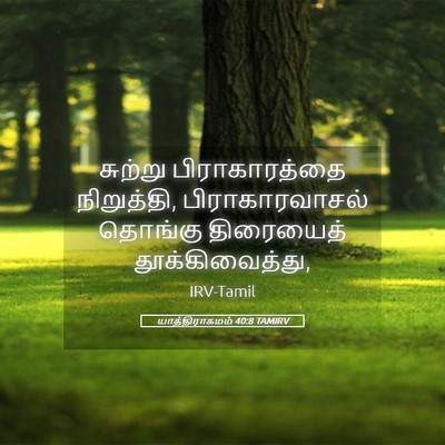 Picture 05 - யாத்திராகமம் 40:8 TAMIRV - சுற்று - Bible Verse Picture