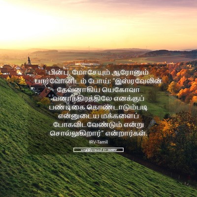 Picture 05 - யாத்திராகமம் 5:1 TAMIRV - பின்பு, மோசேயும் - Bible Verse Picture