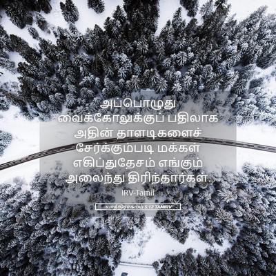 Picture 05 - யாத்திராகமம் 5:12 TAMIRV - அப்பொழுது - Bible Verse Picture