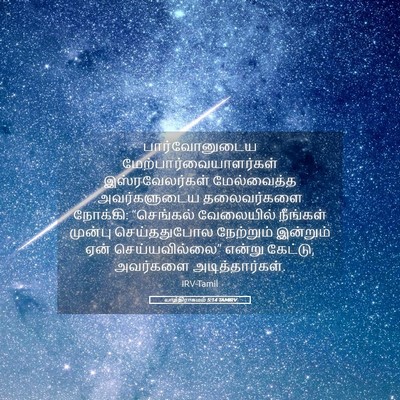 Picture 05 - யாத்திராகமம் 5:14 TAMIRV - பார்வோனுடைய - Bible Verse Picture