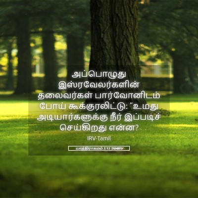 Picture 05 - யாத்திராகமம் 5:15 TAMIRV - அப்பொழுது - Bible Verse Picture