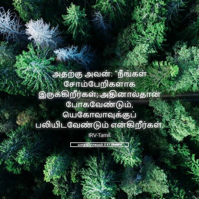 Picture 05 - யாத்திராகமம் 5:17 TAMIRV - அதற்கு அவன்: - Bible Verse Picture