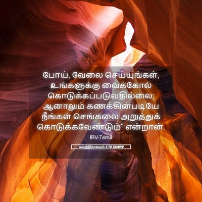 Picture 05 - யாத்திராகமம் 5:18 TAMIRV - போய், வேலை - Bible Verse Picture