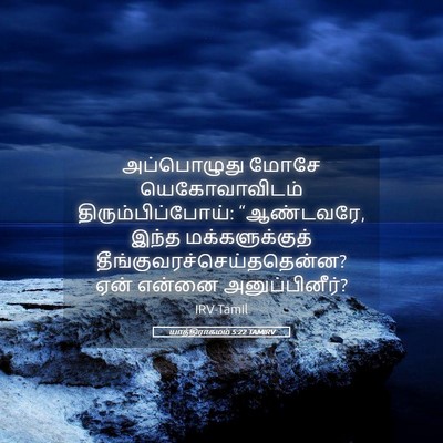 Picture 05 - யாத்திராகமம் 5:22 TAMIRV - அப்பொழுது மோசே - Bible Verse Picture