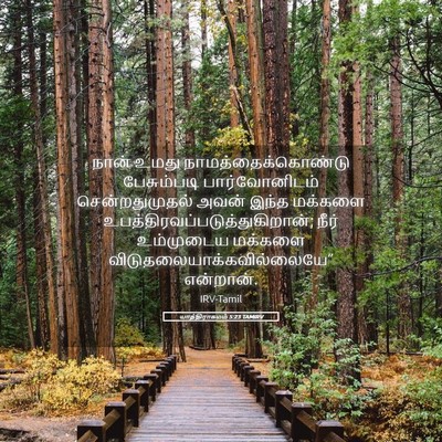 Picture 05 - யாத்திராகமம் 5:23 TAMIRV - நான் உமது - Bible Verse Picture