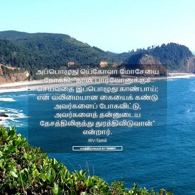 Picture 05 - யாத்திராகமம் 6:1 TAMIRV - அப்பொழுது யெகோவா - Bible Verse Picture